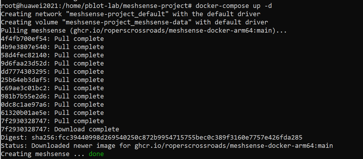 docker-compose up -d 成功启动 MeshSense 容器