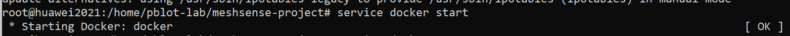 service docker start 成功启动 Docker